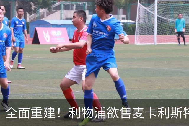 全面重建！利物浦欲售麦卡利斯特，今夏将签2前锋，巴黎飞翼在列